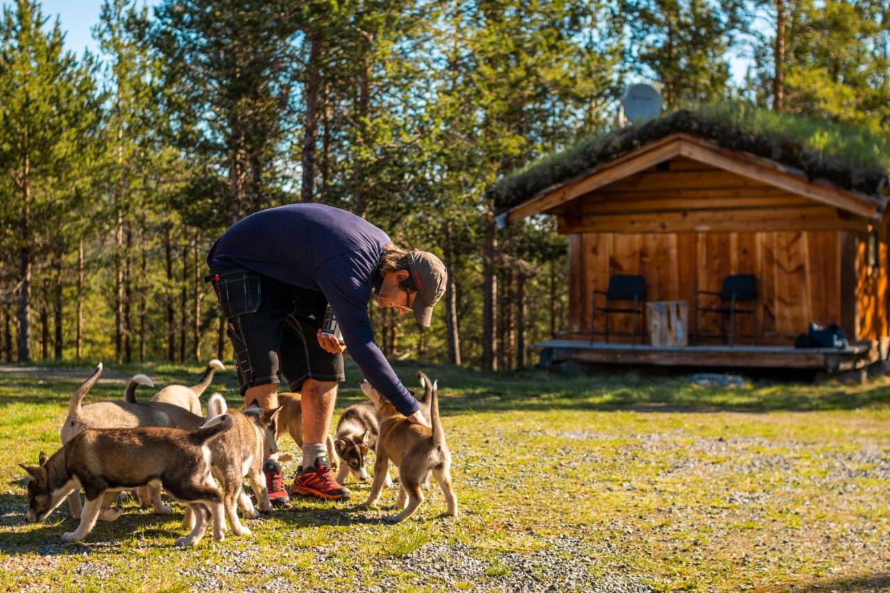 Jotunheimen Husky Lodge Randsverk Bagian luar foto