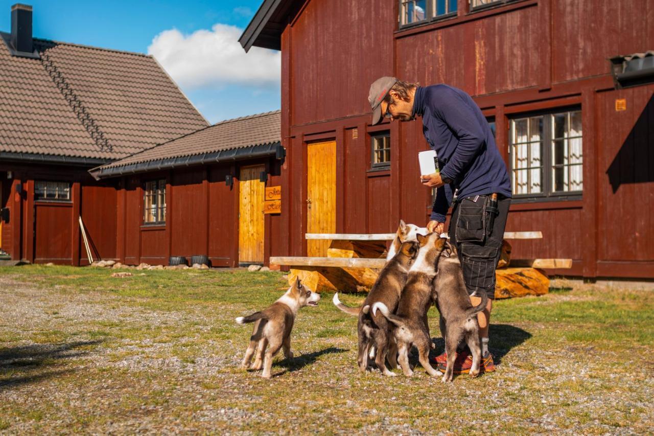 Jotunheimen Husky Lodge Randsverk Bagian luar foto