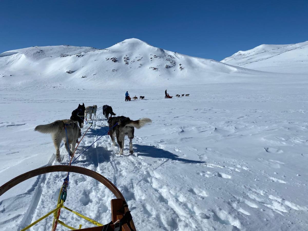Jotunheimen Husky Lodge Randsverk Bagian luar foto